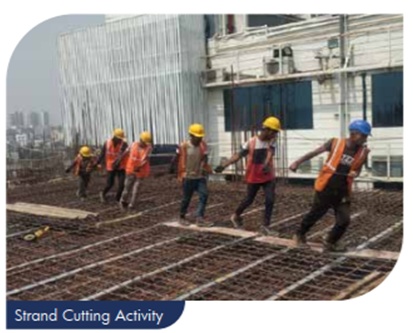 Strand Cutting Activity