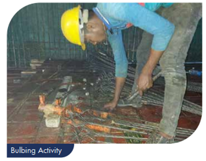 Bulbing Activity